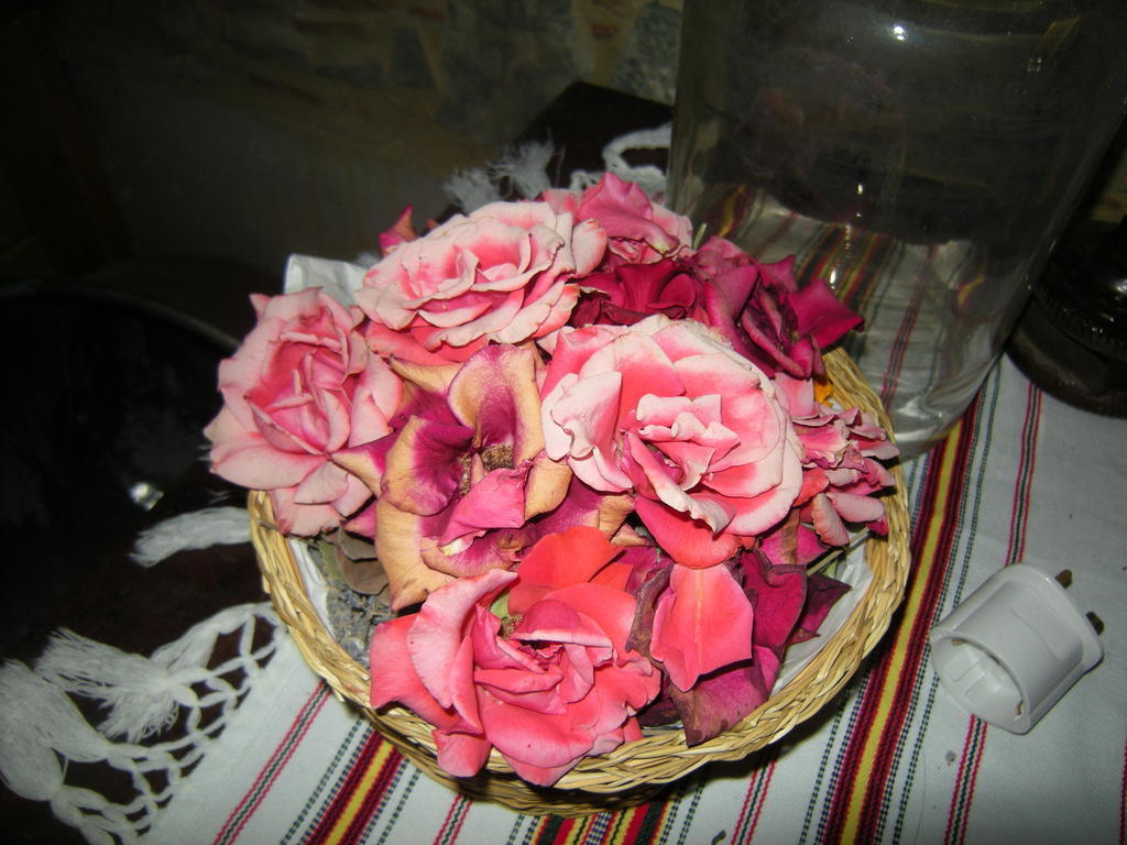 Lasmari'S Bouquet Sykopetra Bilik gambar